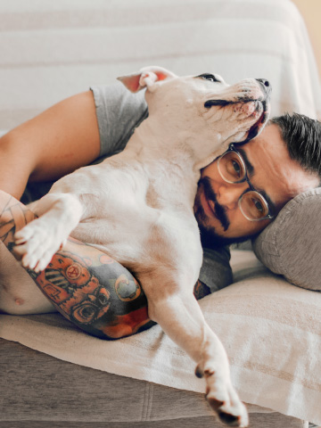 Pies z właścicielem na kanapie