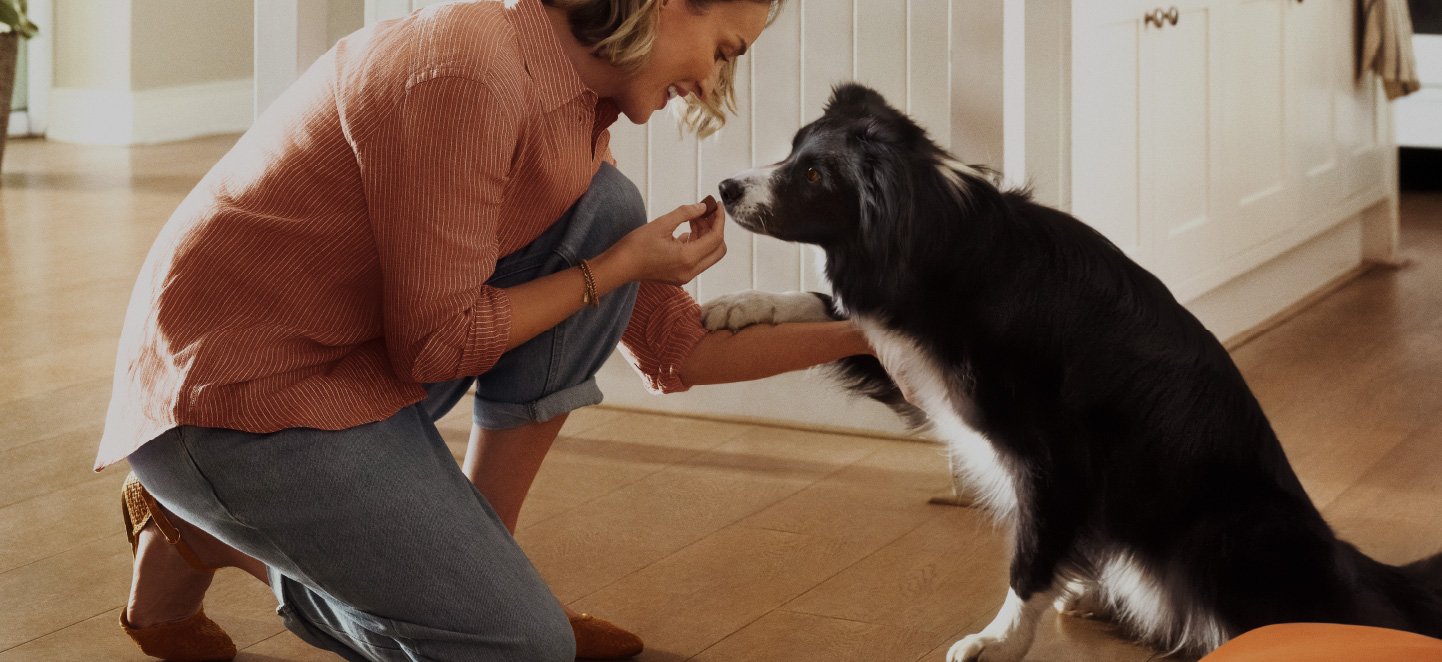 Tło Frontpro- Pani z psem