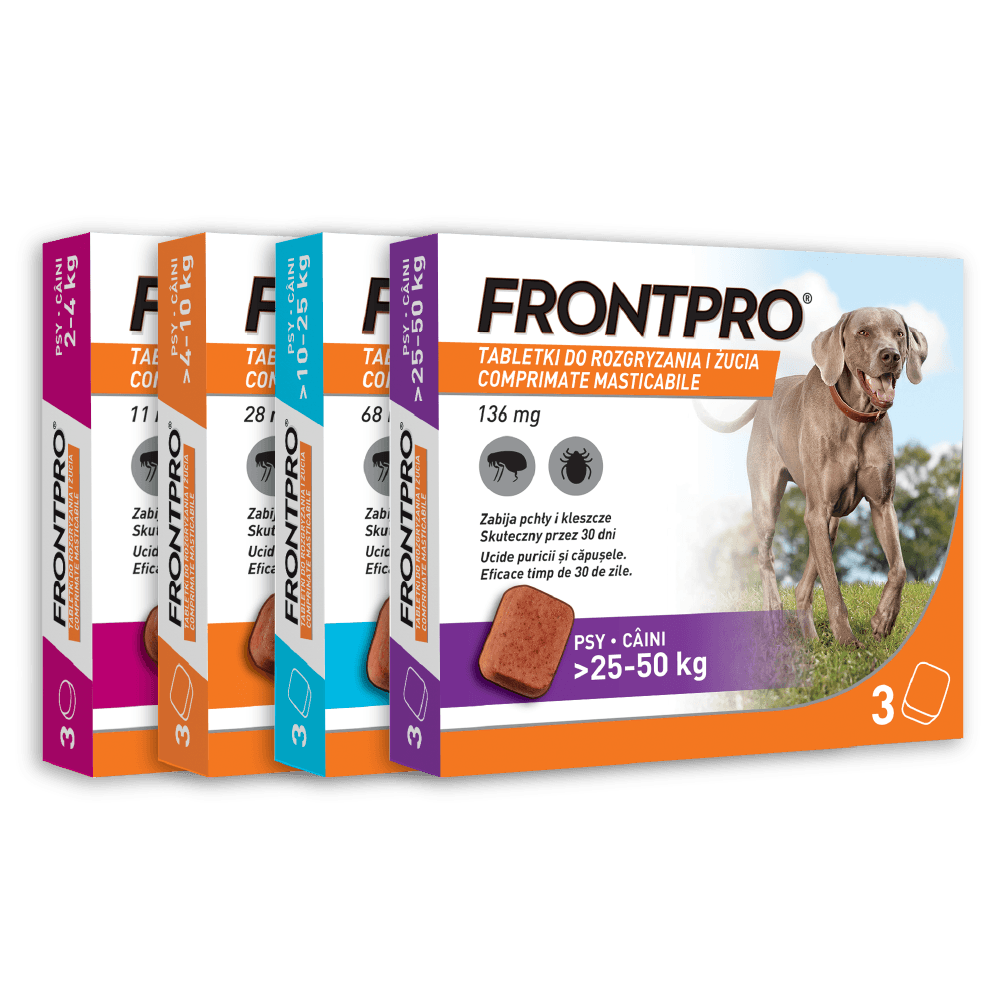 Zdjęcie grupowe Frontpro!