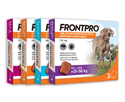 Frontpro