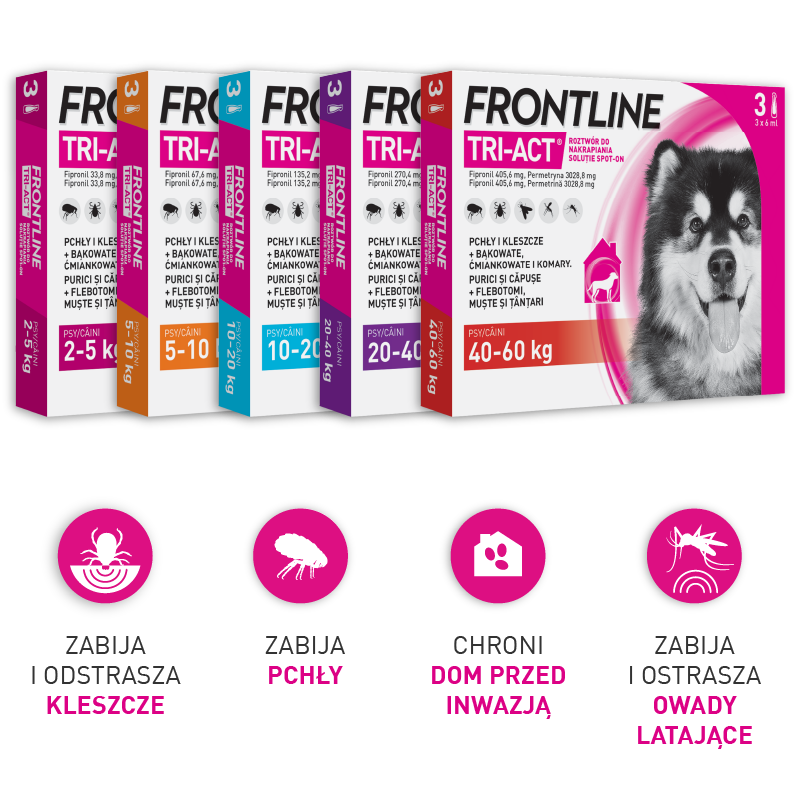 Rodzina Produktów Tri-Act