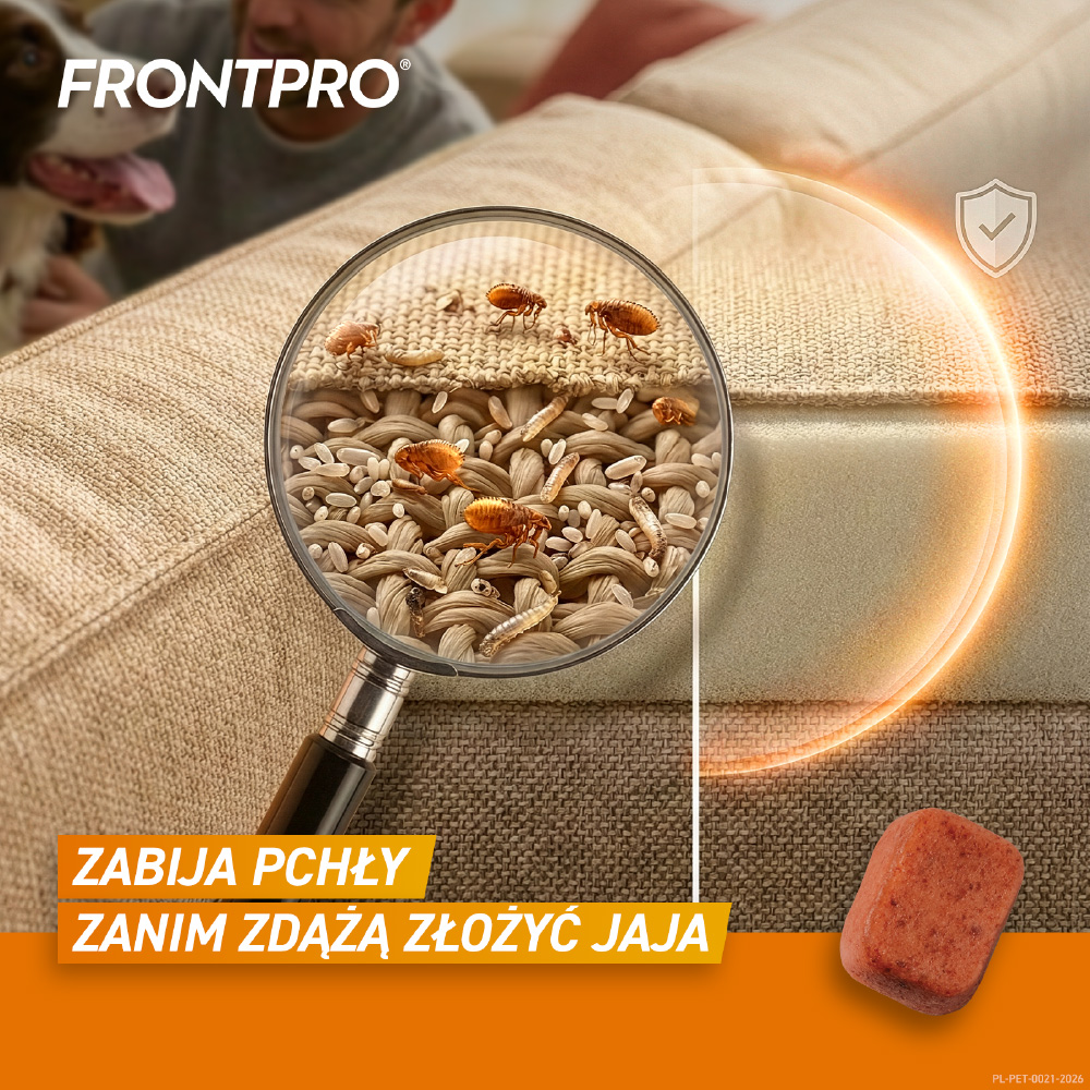 Frontpro L - Szybkodziałająca tabletka