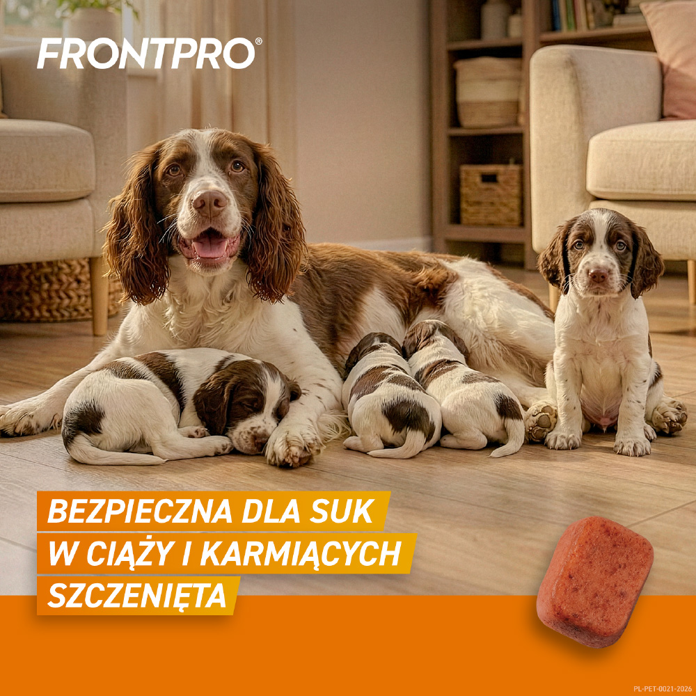 Frontpro L - Bezpieczna dla karmiących tabletka
