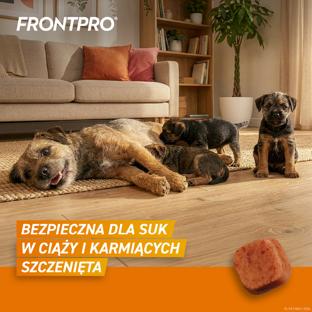 Frontpro M - Bezpieczna dla karmiących tabletka