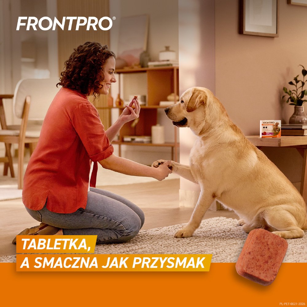 Frontpro XL - Smaczna tabletka