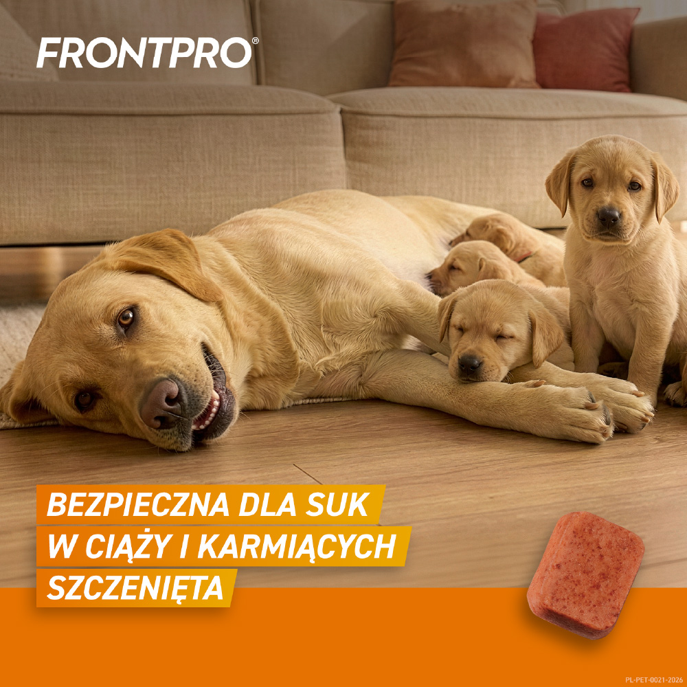 Frontpro XL - Bezpieczna dla karmiących tabletka