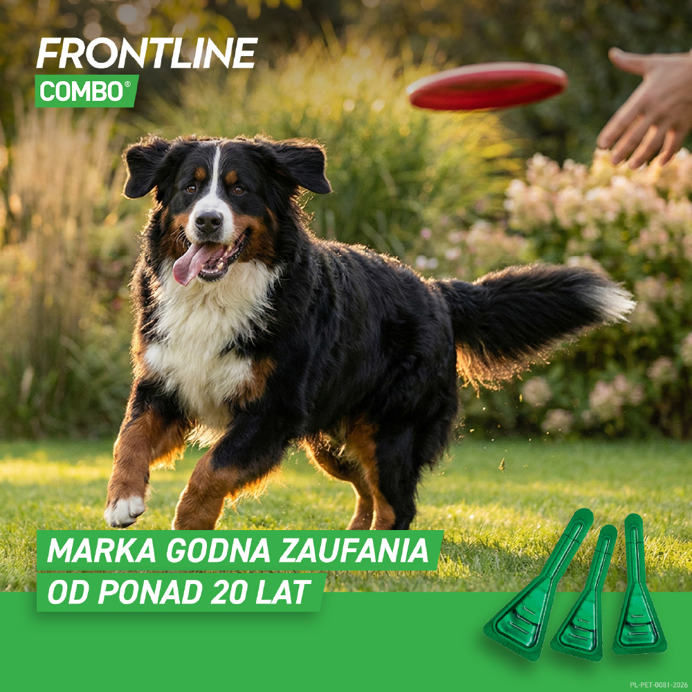 Frontline Combo pies XL