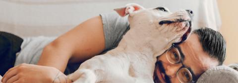 Pies z właścicielem na kanapie