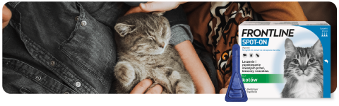 Frontline Spot-on dla kotów
