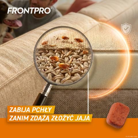 Frontpro L - Szybkodziałająca tabletka