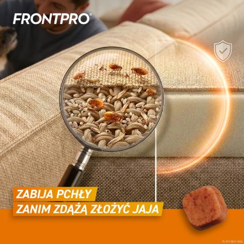 Frontpro M - Szybkodziałająca tabletka
