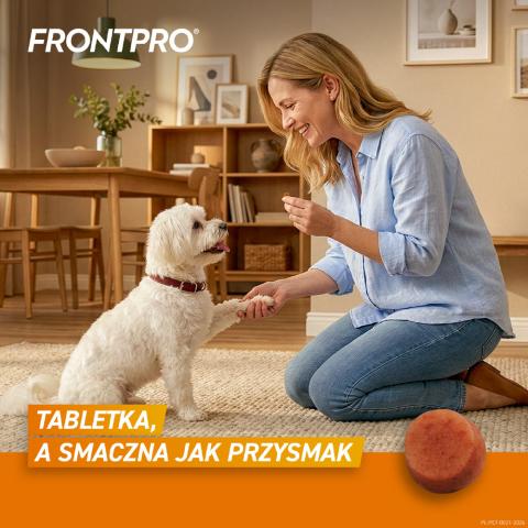 Frontpro S - Smaczna tabletka
