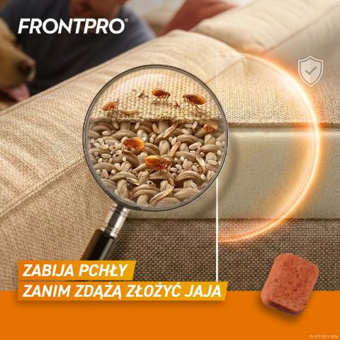 Frontpro XL - Szybkodziałająca tabletka